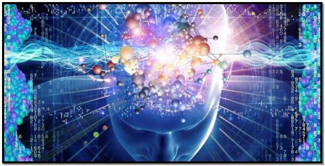 Illustration de la neuroplasticité du cerveau