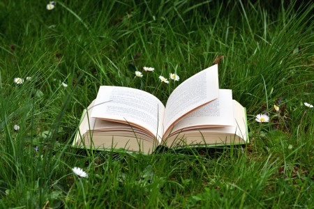Livre numérique - Les tribulations de l’âme sur le chemin de l’éveil